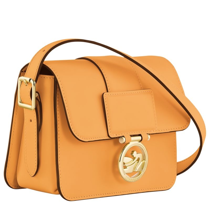 Longchamp Box-Trot S Naisten Crossbody Laukut Aprikoosi | 6743-BRUCQ